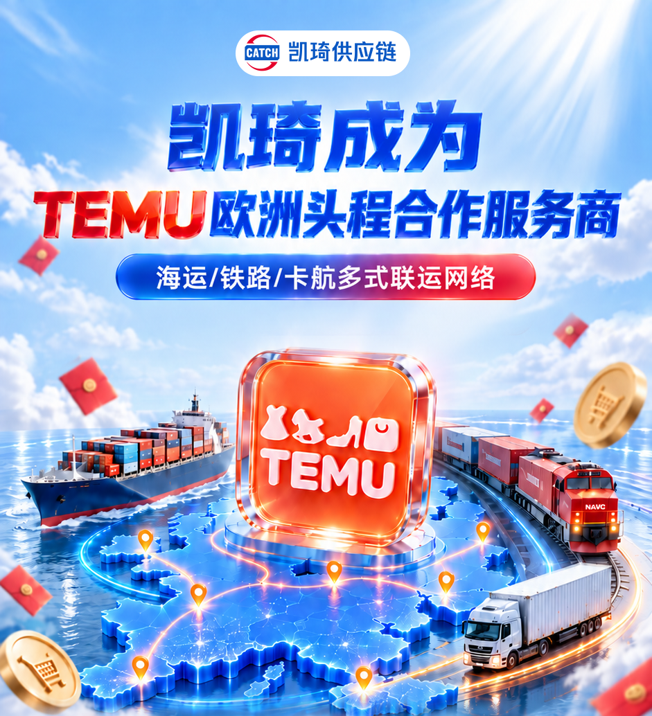 TEMU上线欧洲海报头图2.png