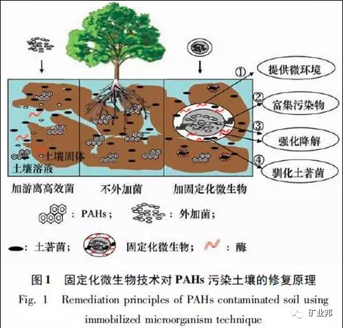 废弃矿山生态修复措施的图8