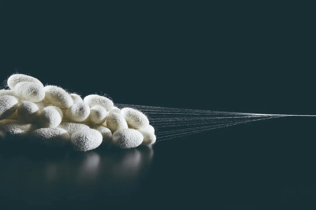 纳米氧化锌有效促进天然蚕丝抗菌抗老化性能