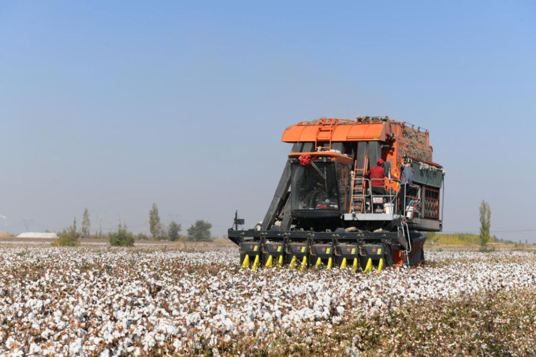 铁建重工智能六行采棉机