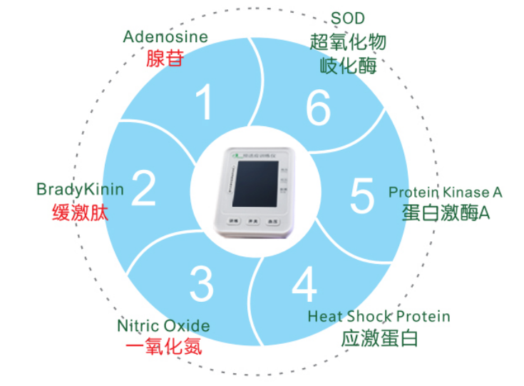 缺血适应训练仪怎么解密！低氧缺血预适应训练仪为什么如此神奇？_https://www.jmylbn.com_新闻资讯_第4张