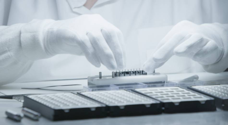 为什么麻醉机只用氧气【仪器】坚实的实验基础——专业的小动物麻醉系统_https://www.jmylbn.com_新闻资讯_第3张