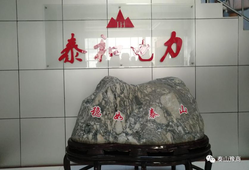 祝贺泰安机械制造商会“企业管理暨文化建设”专题研讨会圆满成功！(图5)