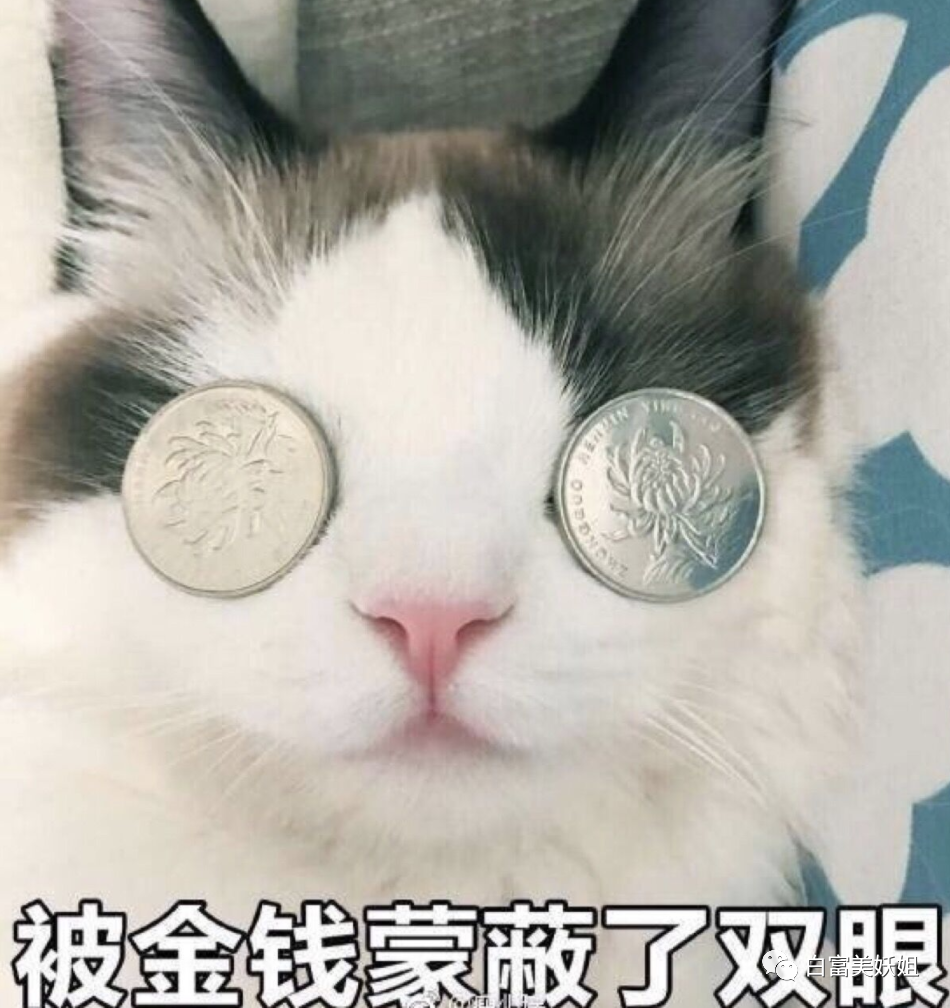 【扒皮】比晚晚更会装X的3大白富美诞生！翻车现场太精彩…（组图） - 8