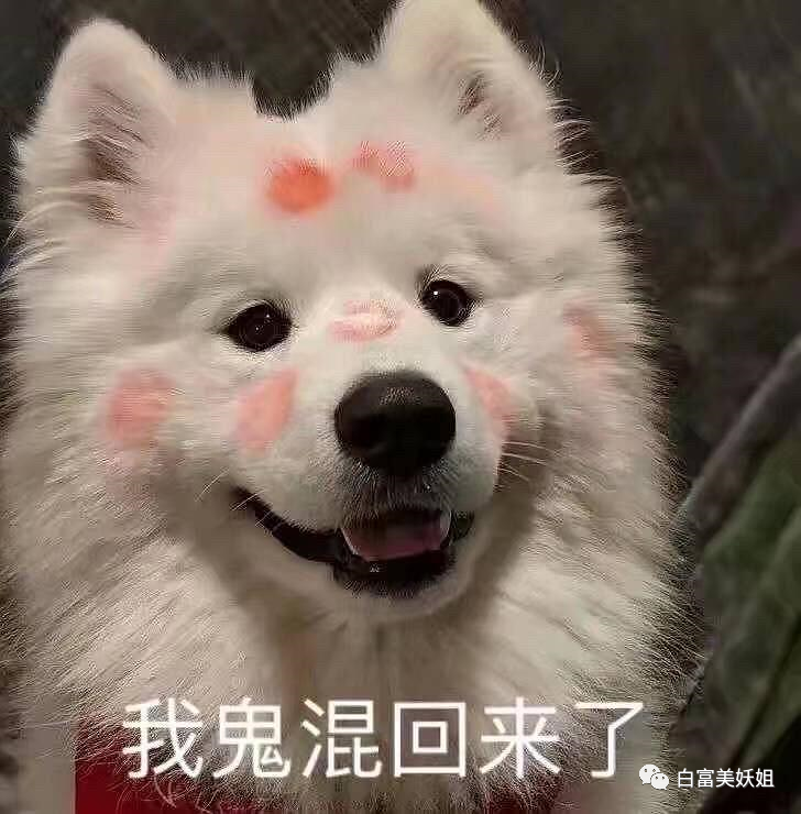 【网红】上海滩第1富二代后宫之争：被王思聪多次手撕的小网红笑到最后？（组图） - 1