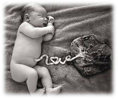 为什么剪脐带要先夹住医问医答 ｜ 你知道吗？肚脐长得丑其实跟那个给你剪脐带的医生没有半毛钱关系！_https://www.jmylbn.com_新闻资讯_第5张