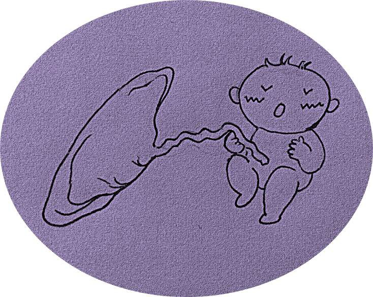 为什么剪脐带要先夹住医问医答 ｜ 你知道吗？肚脐长得丑其实跟那个给你剪脐带的医生没有半毛钱关系！_https://www.jmylbn.com_新闻资讯_第4张