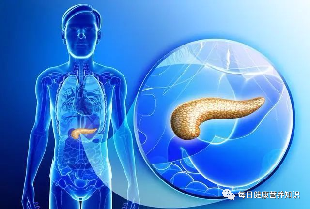 60%的胰腺癌被误诊为胃病！专家：“胃病”患者有3个特点，需警惕