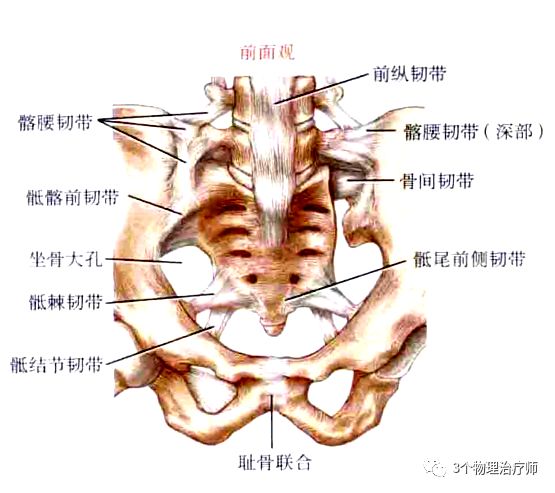 骶髂关节的韧带与年轻人相比,老年人的骶髂关节结构所发生的无症状