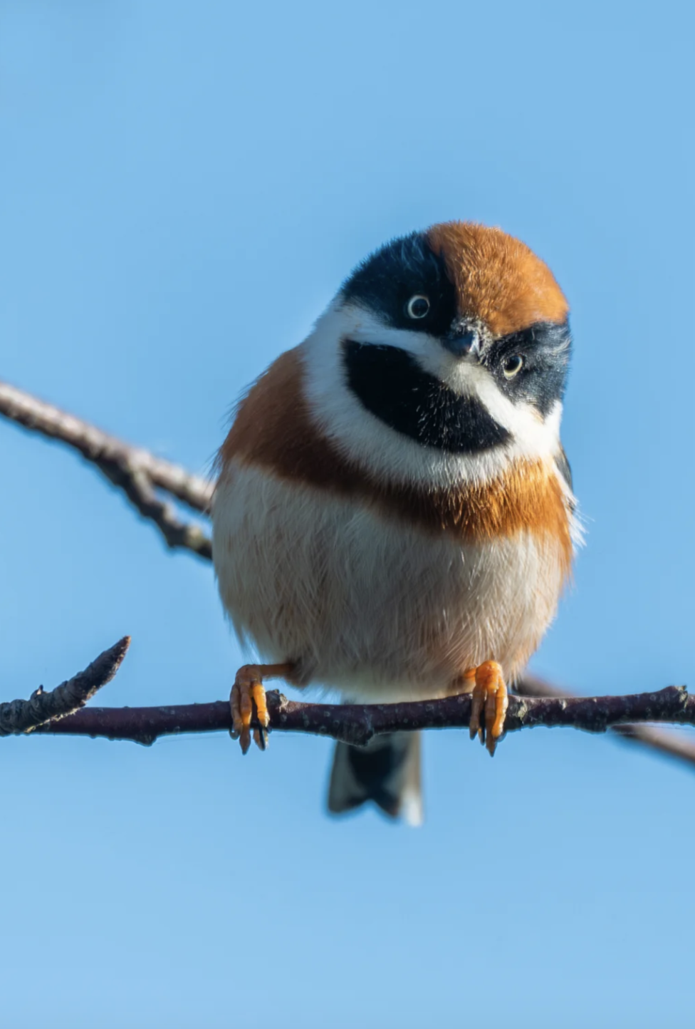 截屏2025-11-27 00.57.30.png