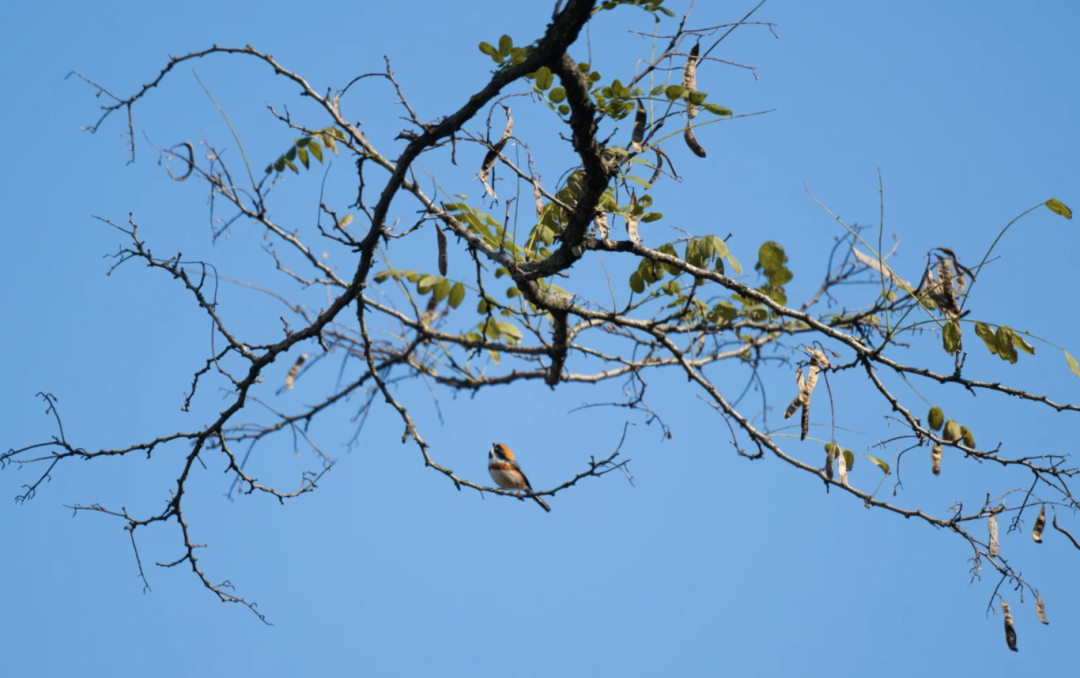 截屏2025-11-27 01.01.54.png