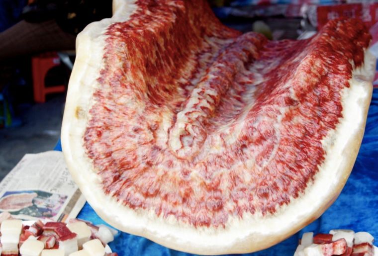 肉石 “天下第一肉石”重720斤,明码标价180万元,你觉得值吗?