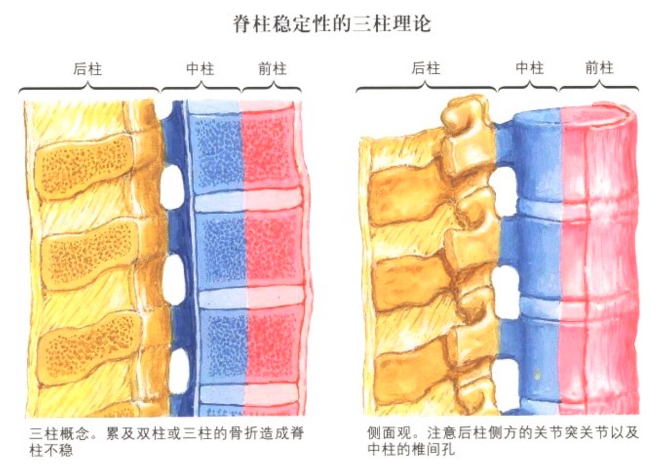 为何胸腰段骨折可采用非手术疗法? - 好大夫在线