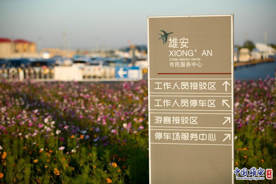 中国雄安官网记者张斌 摄雄安市民服务中心内,小游客与花海合影留念.