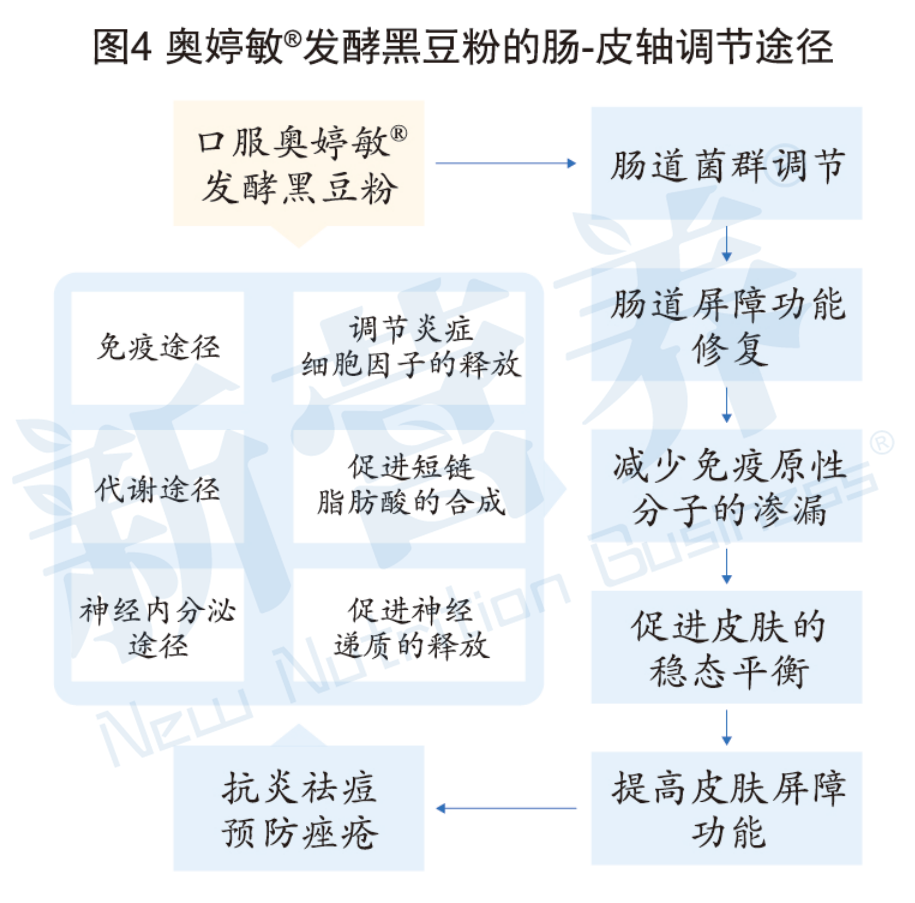 肠道菌群平衡_益生菌肌肤微生态平衡_奥婷敏发酵黑豆粉