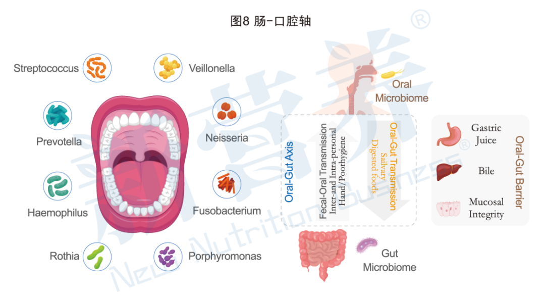 奥婷敏发酵黑豆粉_肠道菌群平衡_益生菌肌肤微生态平衡