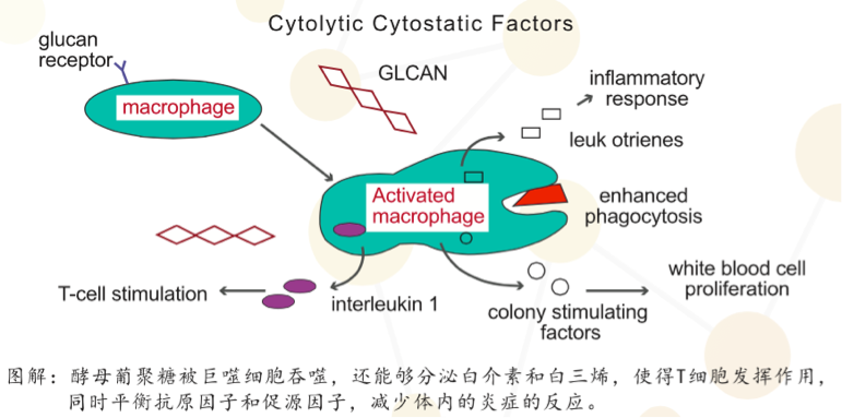 飞鹤茁然_飞鹤茁然_飞鹤茁然