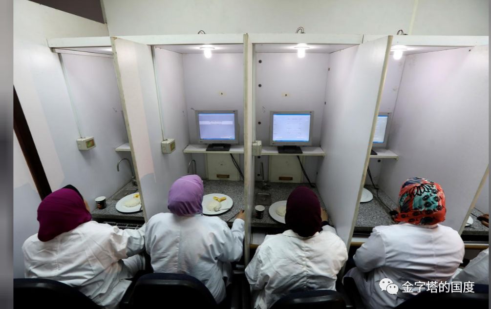 【感官测试竟如此重要】埃及米饭品尝计划，关乎进口大米标准