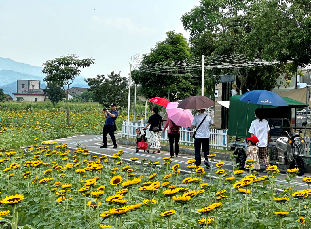 >首頁>開平市政府網>新聞動態>鎮街動態>走進開平市大沙鎮大塘面村,一