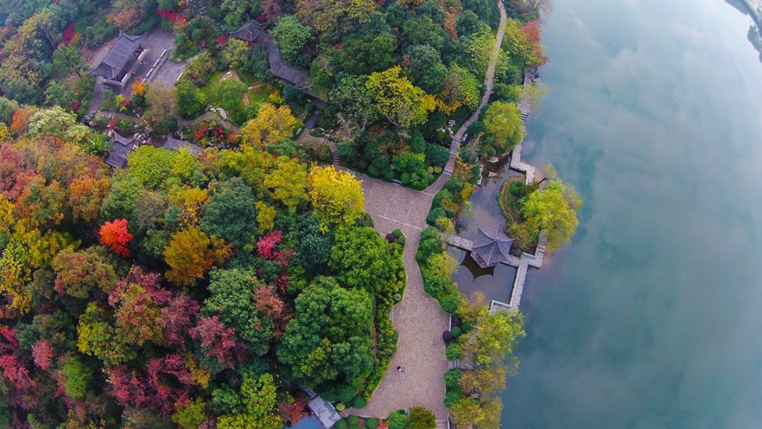 杭州「紅」了！沿著最佳賞楓路線拍照，景色無敵美！ 旅遊 第14張