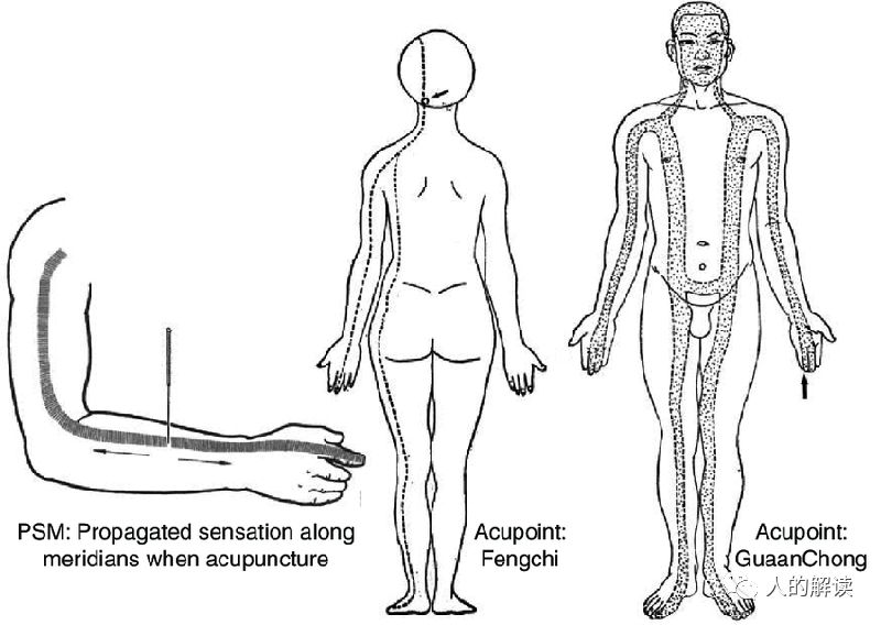 经络最奇特的现象：循经感传-人的解读