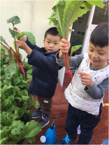 花园幼儿园丨园际联盟同进步，培育孩子喜欢的好老师相关资料 35