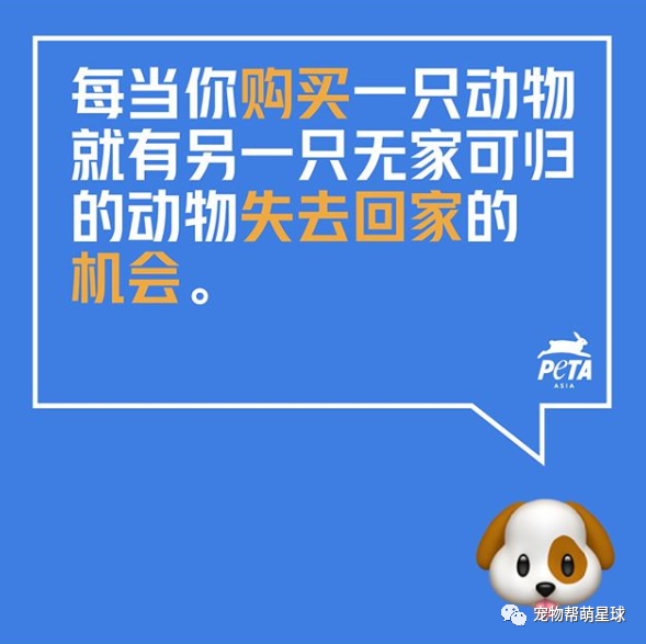 狗姐妹被安樂死也要在一起，無助相擁後命運竟開始反轉：我們好想有個家 寵物 第1張