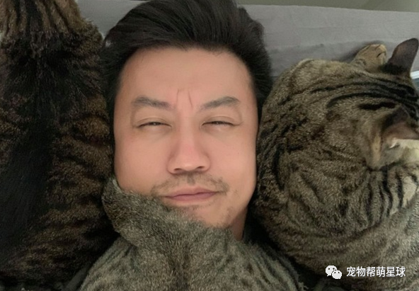冬天带 虎斑猫围巾 惹网友直呼羡慕 爸立马揭露痛苦负担瞬间让人爆笑 萌宠 训练养宠技巧 宠物用品 微信头条新闻公众号文章收集网