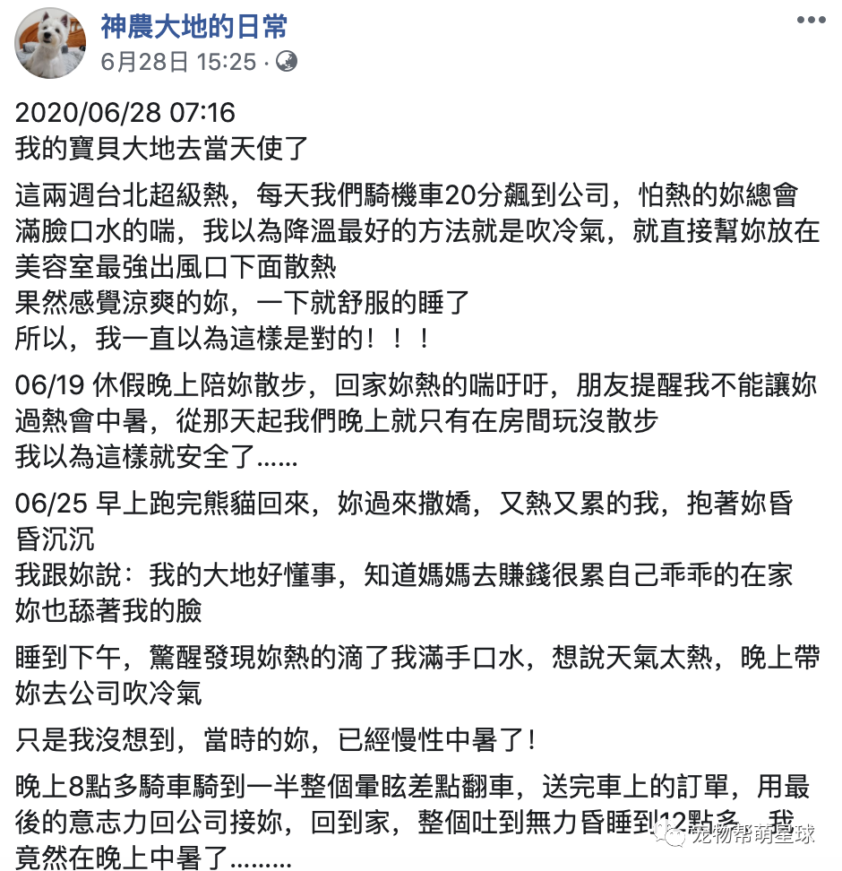 因為開冷氣機…我害死了我家的狗！ 寵物 第14張