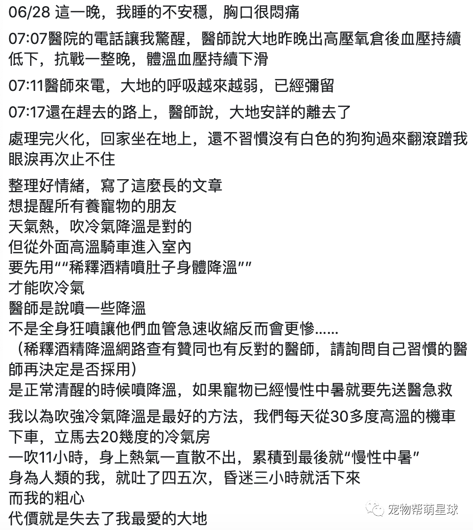 因為開冷氣機…我害死了我家的狗！ 寵物 第15張