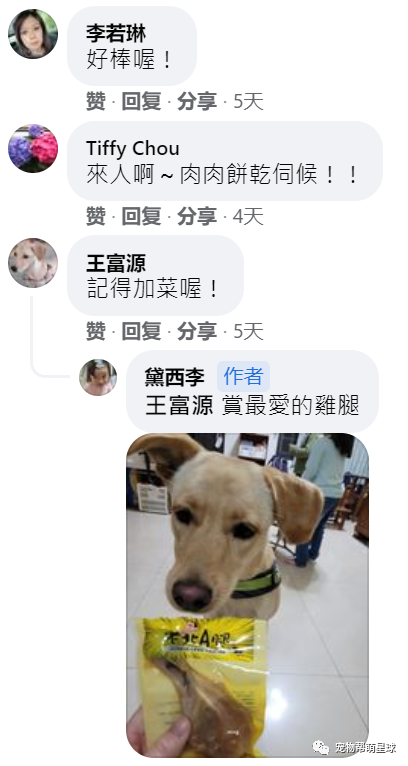 狗狗突然大叫,主人不以为然,但知道事实后她怕了:我该相信你的...-微信头条网 狗狗突然大叫,主人不以为然,但知道事实后她怕了:我该相信你的...
