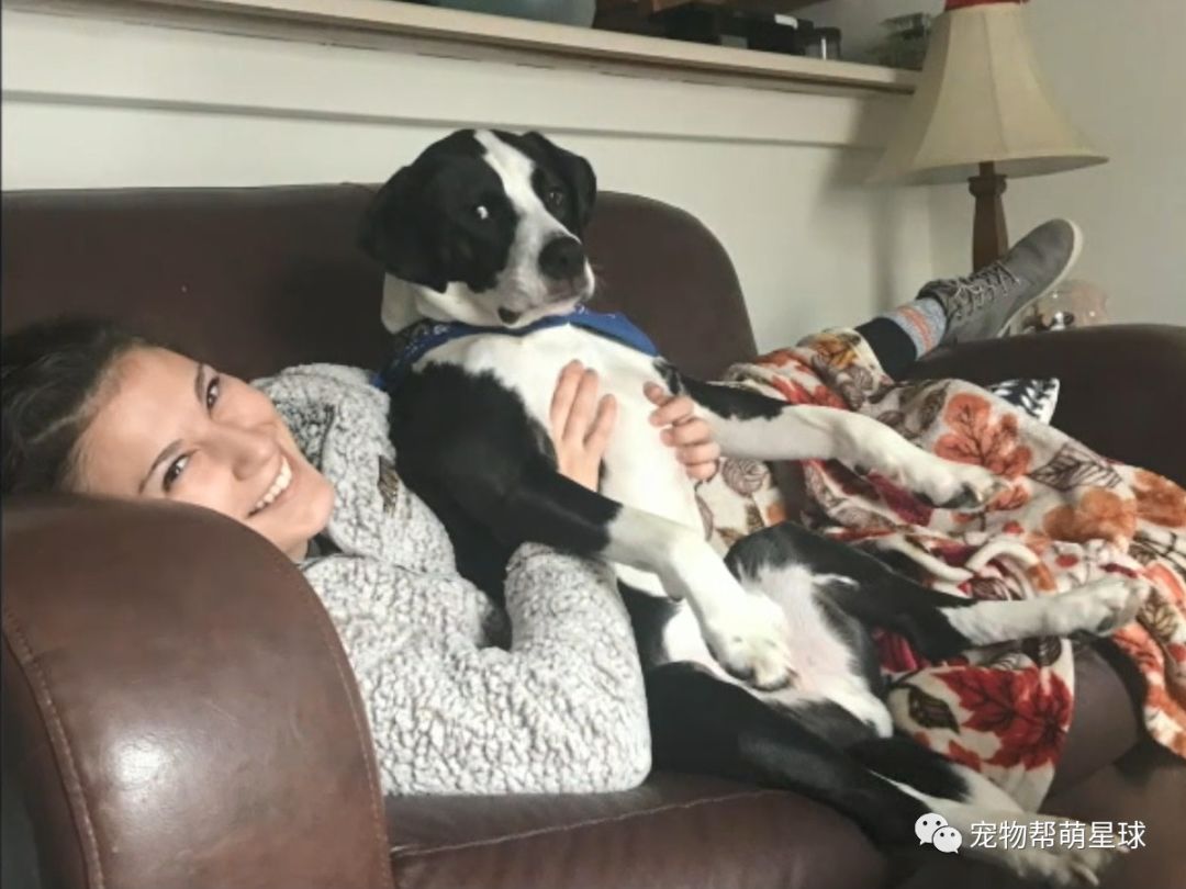 狗狗被困五級大火中，兩天後主人再次尋找竟聽到狗叫聲：謝謝你回來救我！ 寵物 第4張