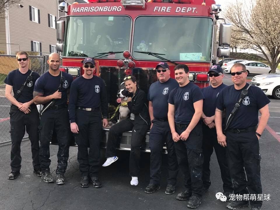 狗狗被困五級大火中，兩天後主人再次尋找竟聽到狗叫聲：謝謝你回來救我！ 寵物 第7張