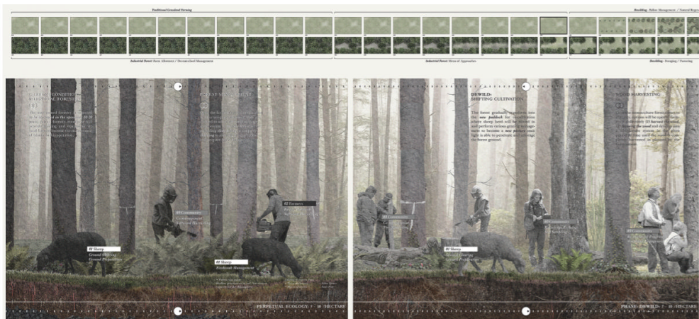 Asla2021学生奖已彻底成为中国景观学生内部竞赛了 看看作品 绿变变 微信公众号文章阅读 Wemp