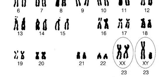 色盲位点在x染色体短臂上,而y染色体较短小,没有相应的等位基因,因此