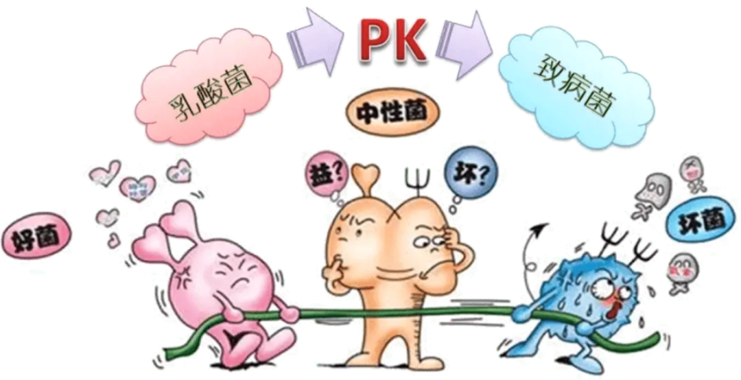 妇科流体敷料怎么用妇科炎症乱用药，反复发作危害大！锦露®妇科流体敷料调节阴道微生态，预防炎症发生!_https://www.jmylbn.com_新闻资讯_第9张