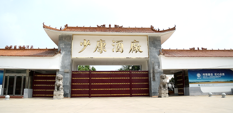 临颍少康的误读 — 幸存者偏差