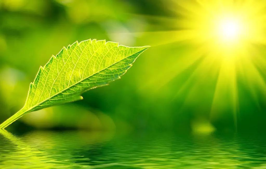 阳气不足，阴邪内生是生癌之本！