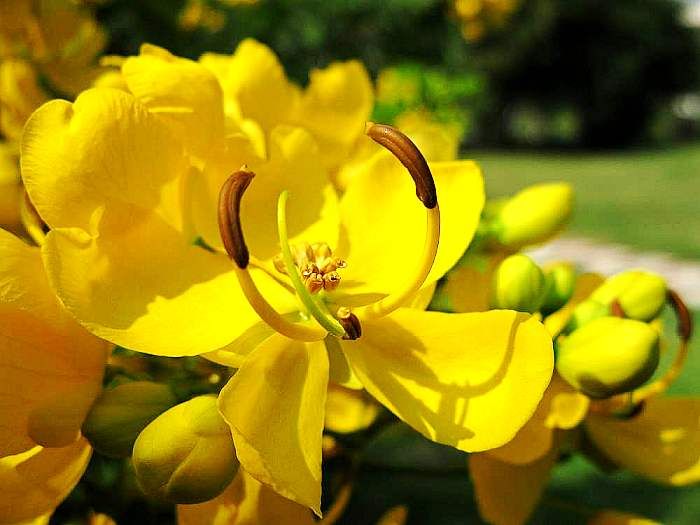 现在很多年轻人都是阳气不足