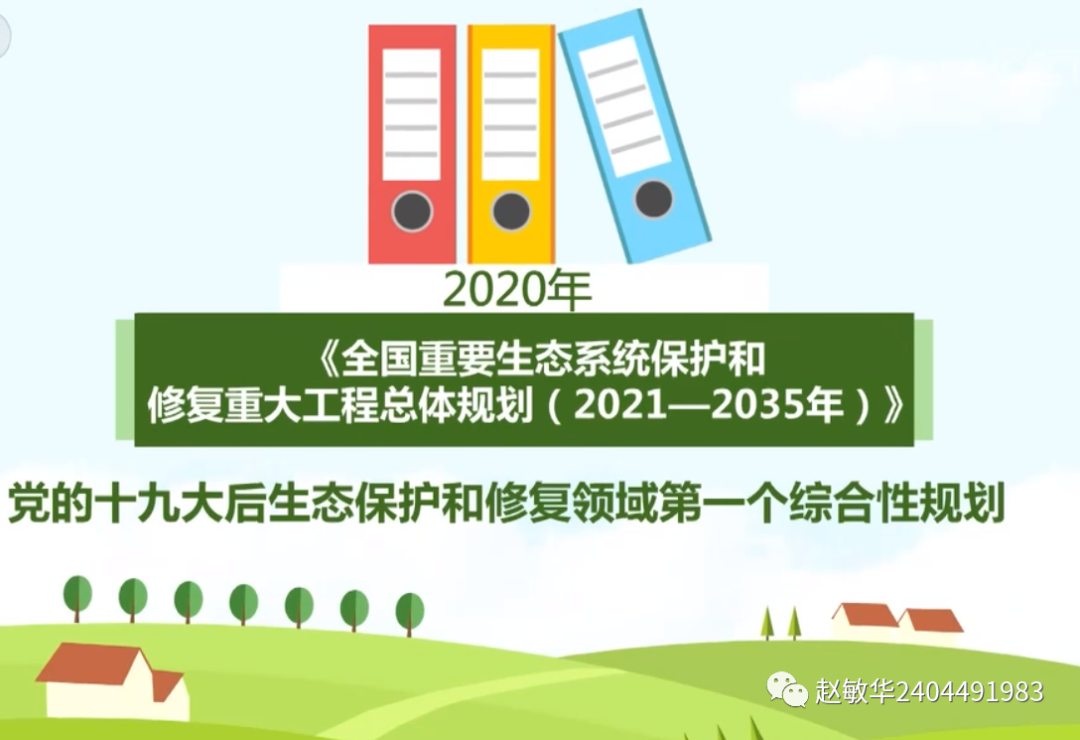 2020年《全国重要生态系统保护和修复重大工程总体规划(2021—2035年