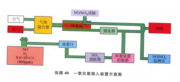sle呼吸机是什么牌子【实用新生儿治疗技术】一氧化氮吸入疗法（三）—— 一氧化氮吸入装置_https://www.jmylbn.com_新闻资讯_第1张