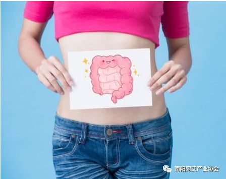 小暑过，热有三分湿七分！除湿开胃，用一膏两汤三妙招~|养生知识-南阳宛艾产业协会