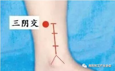 艾灸：女人的养生馆、男人的加油站、孩子的感冒药、老人的降脂药！|最新消息-南阳宛艾产业协会