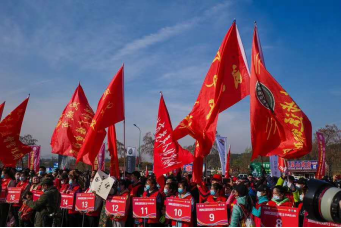 凤凰山体育场_凤凰山在哪_凤凰山陵园
