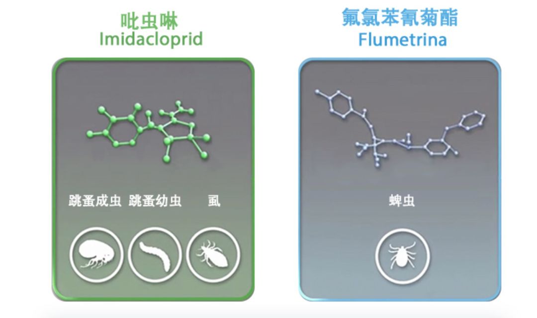 狗狗驅蟲怎麼驅？我的驅蟲經驗都在這裡啦 寵物 第5張