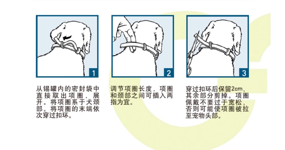 狗狗驅蟲怎麼驅？我的驅蟲經驗都在這裡啦 寵物 第6張