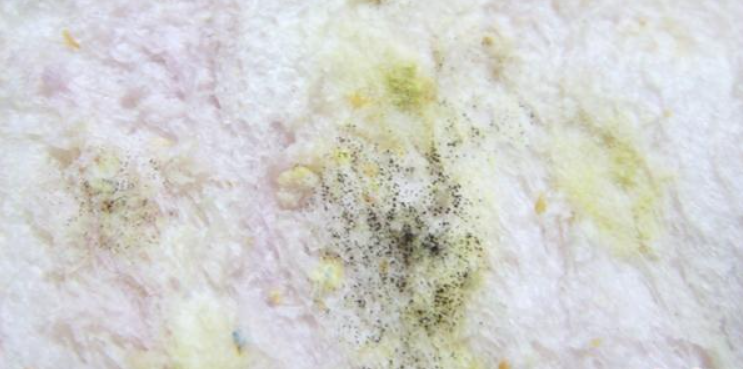 家用电热毛巾架_电热毛巾架实用吗_电热毛巾架用处