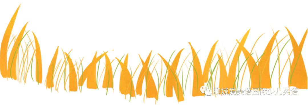 草地英文 大福·爱美语携手杰诺思——用英语秀出对妈妈的爱！绿草坪的狂欢！给你别样的感动！