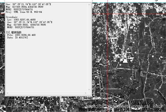 图片[34]-教程对遥感图像的分类处理综合应用-元地理信息科学