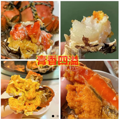 魔幻！国内“自制宠物”风靡全网，无数年轻人纷纷加入！然而画风却越来越卷，网友直呼：这也太离谱了... - 45